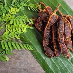 Tamarind (Seedless)