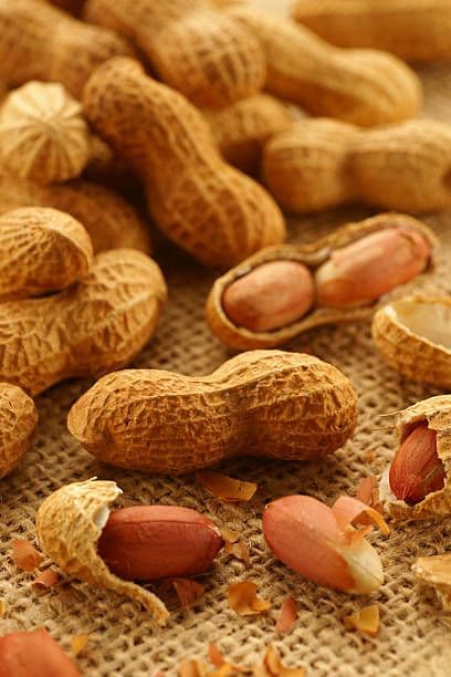 Groundnut (Peanuts)